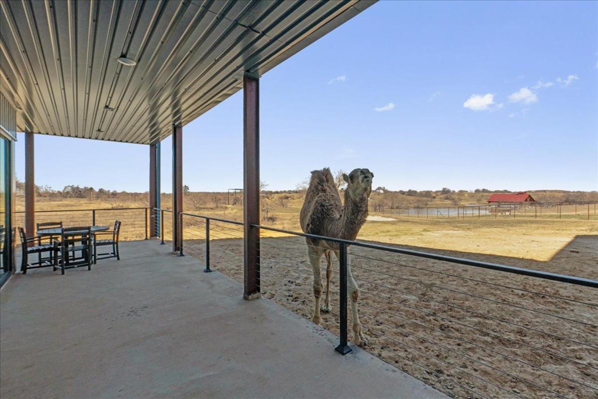 Blue Hills Ranch Hotell McGregor Eksteriør bilde